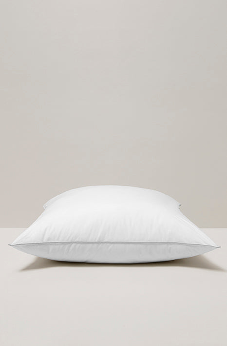 Oreiller Naturel en Duvet et Plumes