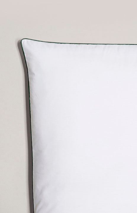 passepoil-vert-forêt featured