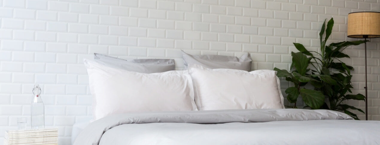 7 plantes qui vous aideront à mieux dormir