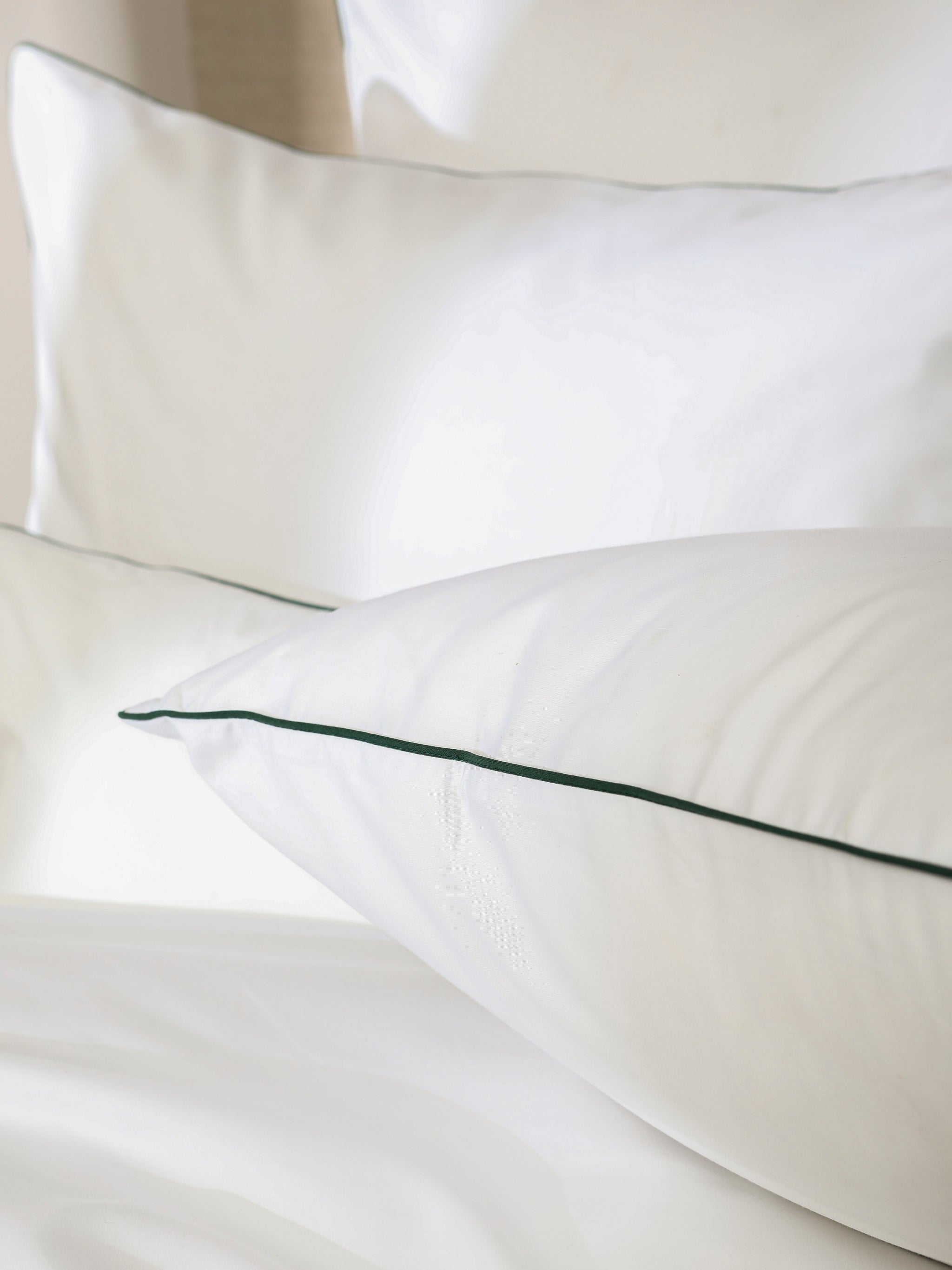 passepoil-vert-forêt