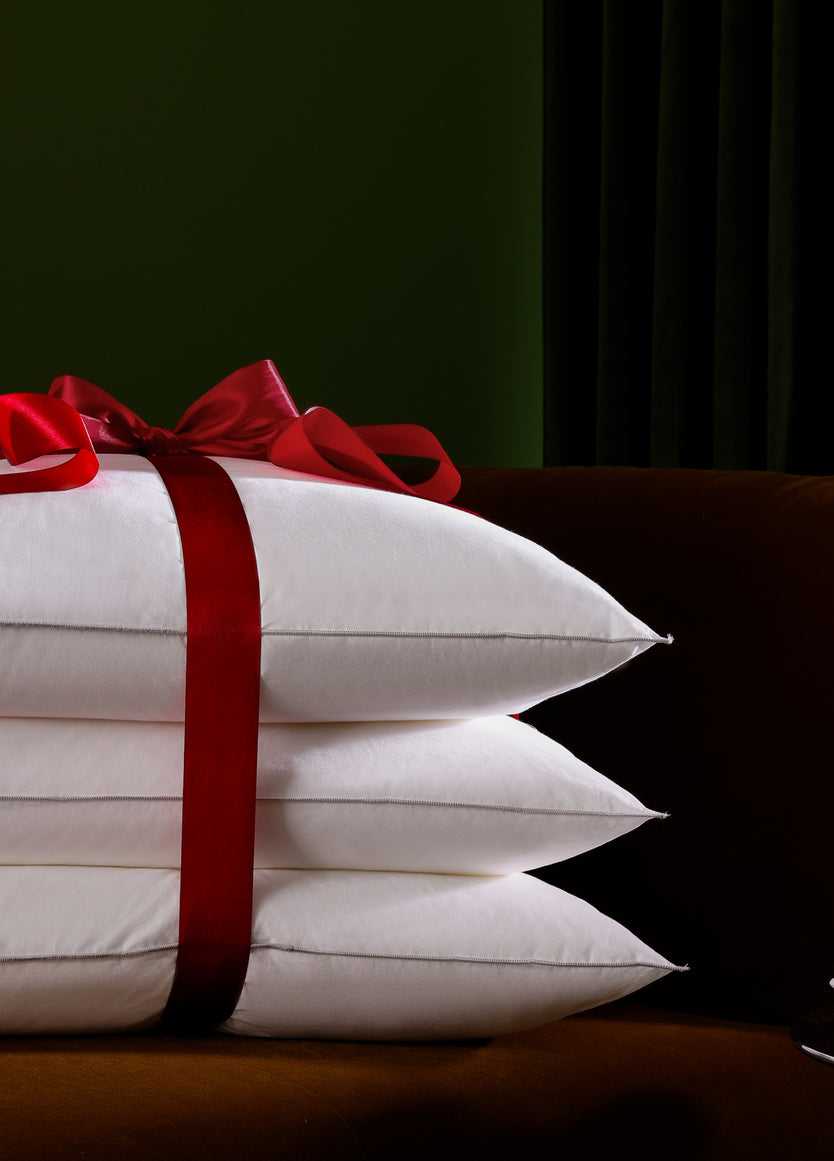 Oreiller Naturel en Duvet et Plumes