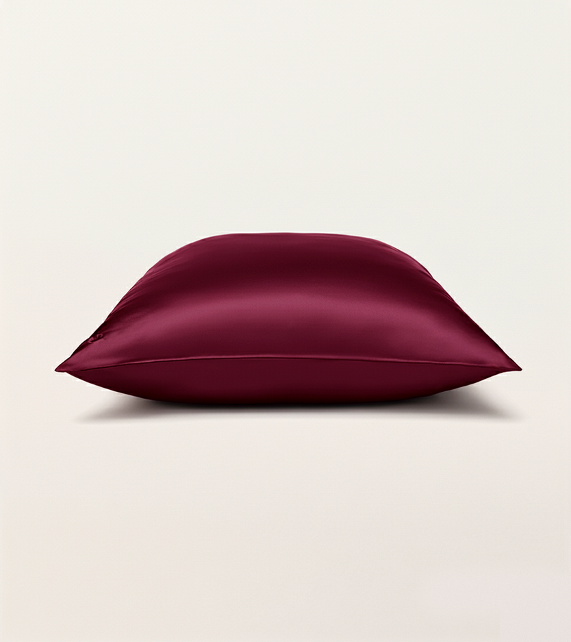 Taie d'Oreiller en Pure Soie de Mûrier